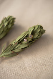 Petit Studs