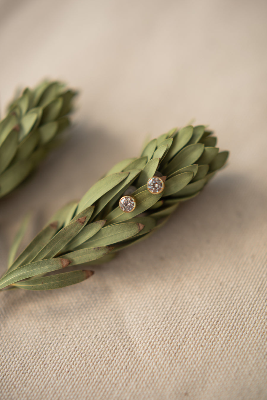 Petit Studs
