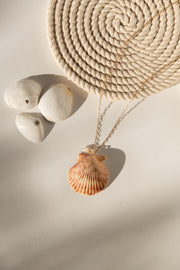 Seashell Pendant A
