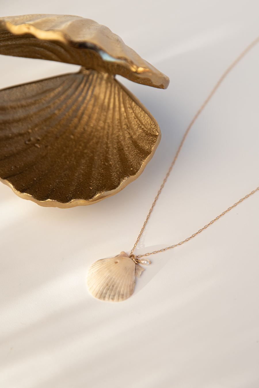 Seashell Pendant C