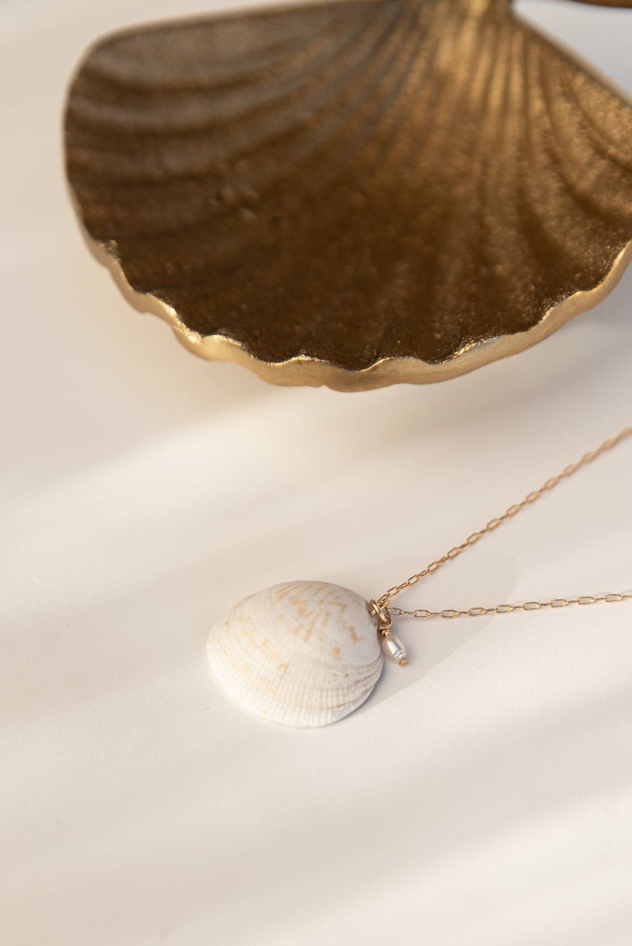 Seashell Pendant D