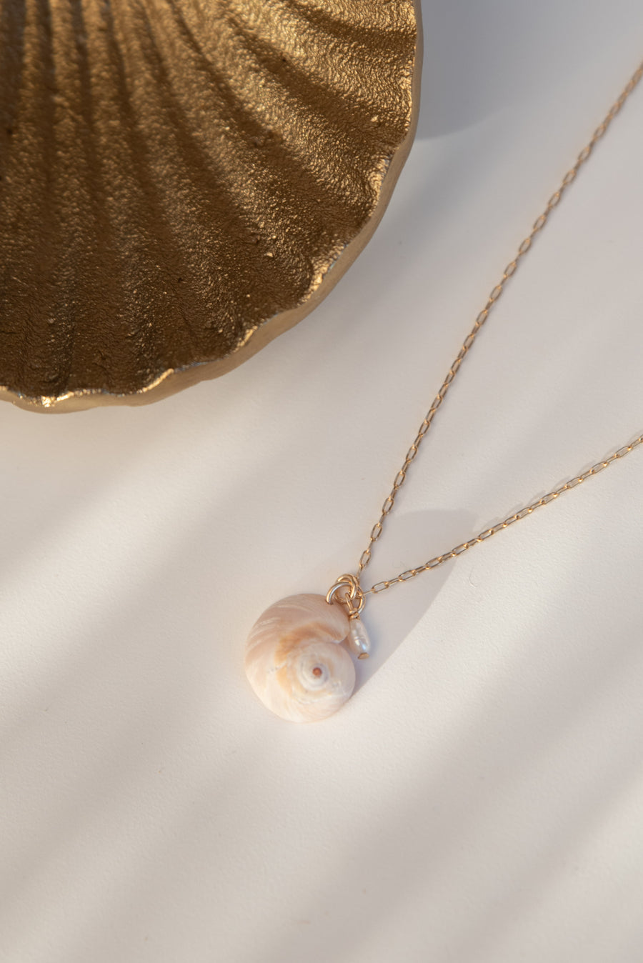 Seashell Pendant G