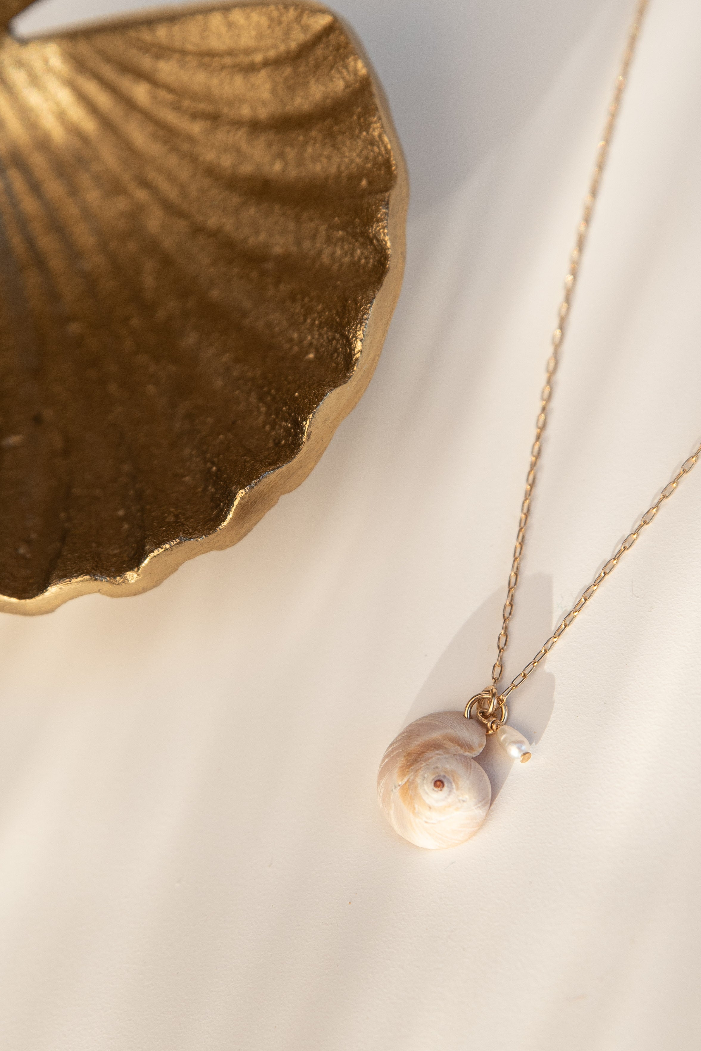 Seashell Pendant G