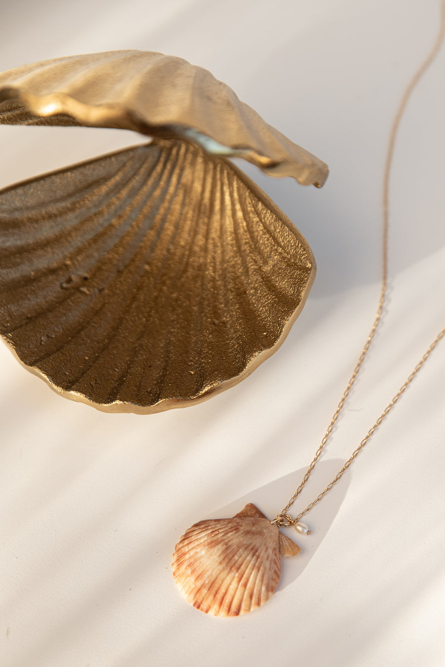 Seashell Pendant E