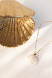 Seashell Pendant F