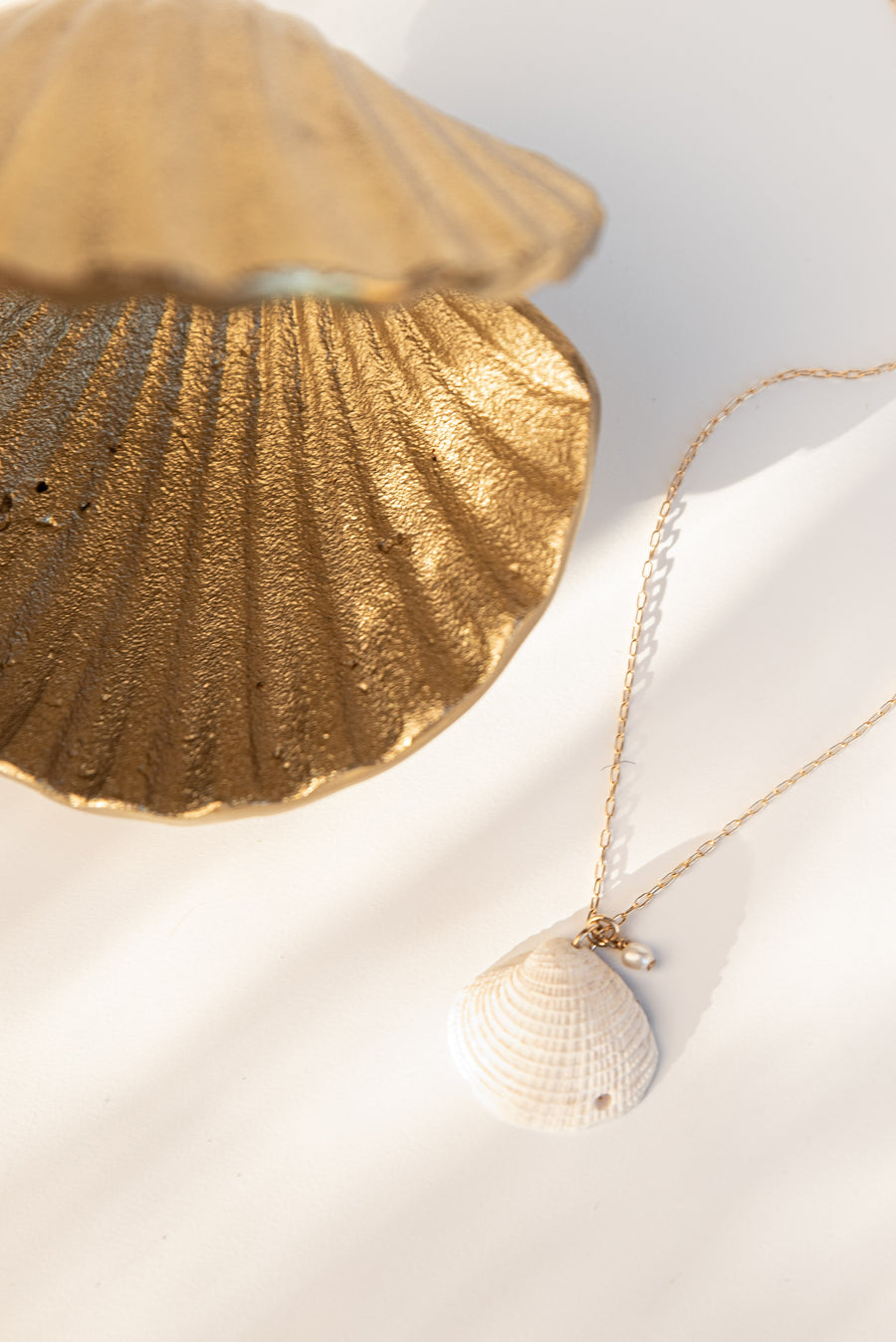 Seashell Pendant F