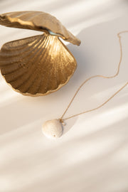 Seashell Pendant F